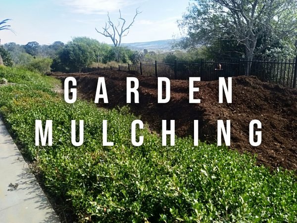 Garden-Mulch--600x450