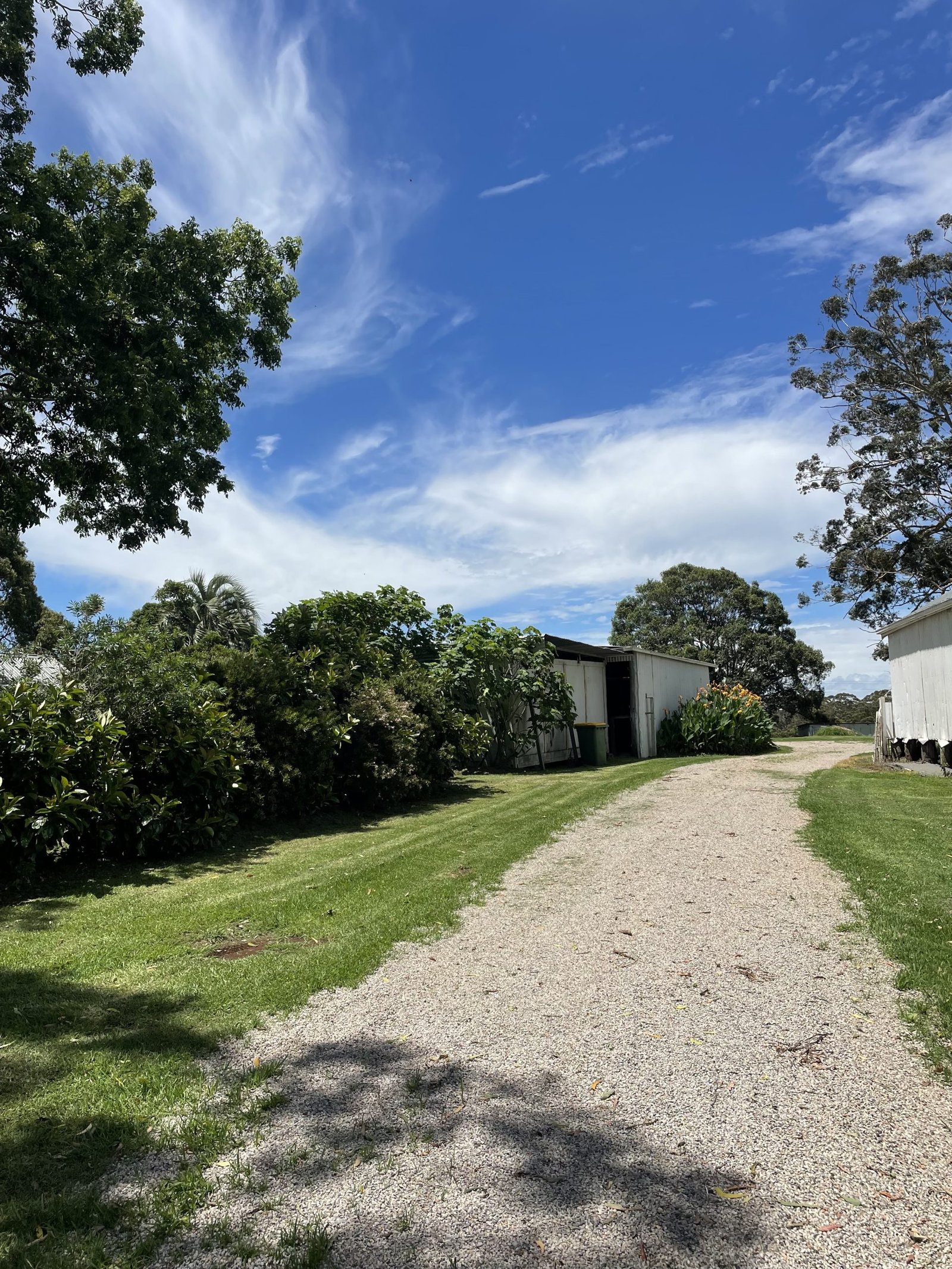 Driveway
